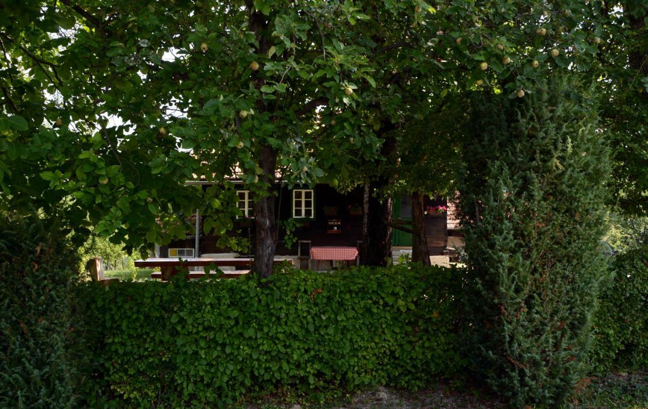 Holiday Home Hizica V Plavem Trnacu Gornja Stubica Exterior photo