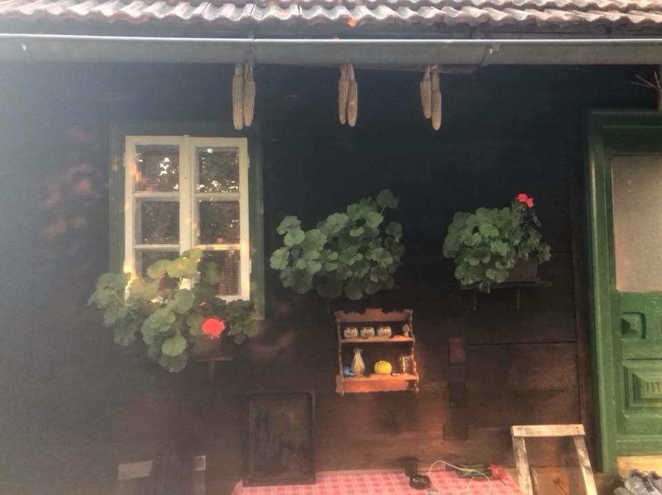 Holiday Home Hizica V Plavem Trnacu Gornja Stubica Exterior photo
